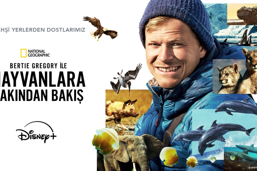 Biyoçeşitlilik ve İklim Değişikliğinin İzinde