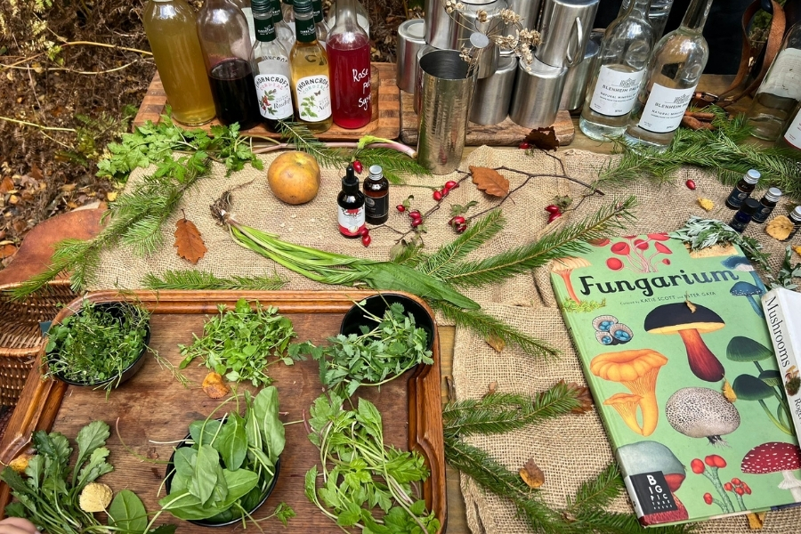 Doğayla Yeniden Bağ Kurmak: Bir Foraging Deneyimi