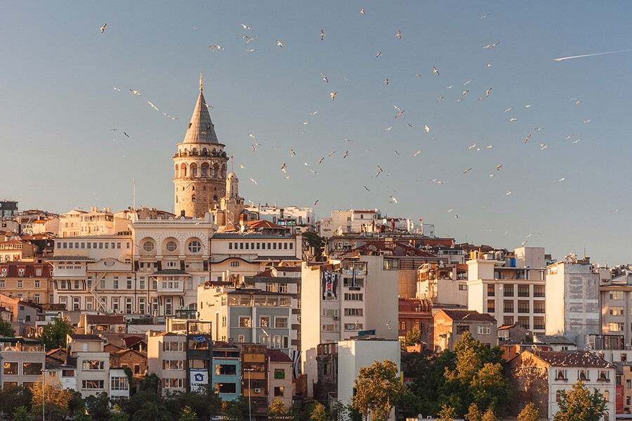 Avrupa Birliğinin Sopası